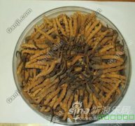 南开区回收冬虫夏草13439830111收购礼品